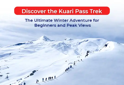 Kuari Pass Trek - Winter Adventure for Beginners